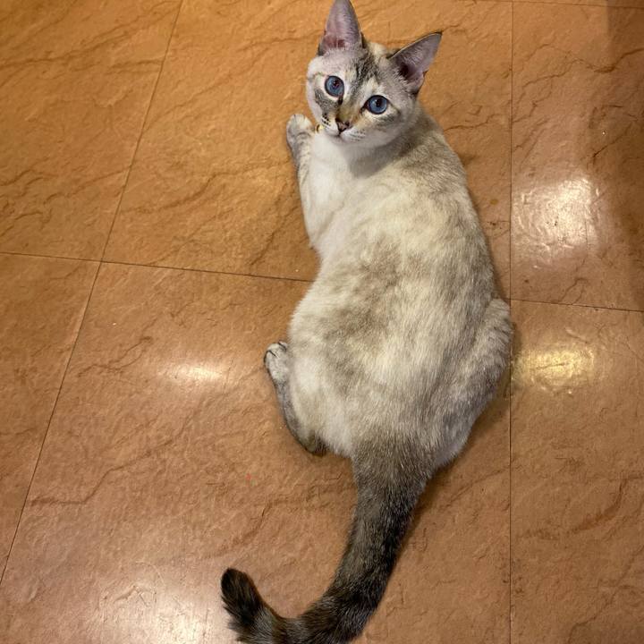 E0ab0809 d000 4469 a2ba f14deec8efd4 1685783873870