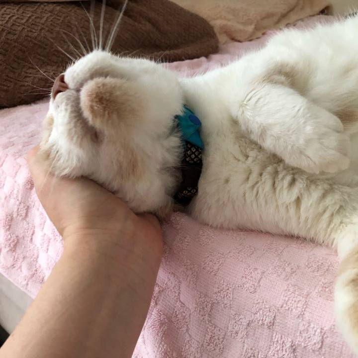 E0ab0b28 bae5 46d9 b9f9 0a4358ae0aea 1627597168120