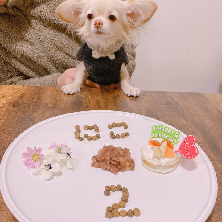 E0ab179d 6a93 49e5 abe6 89d3d56340ed 1643618881777