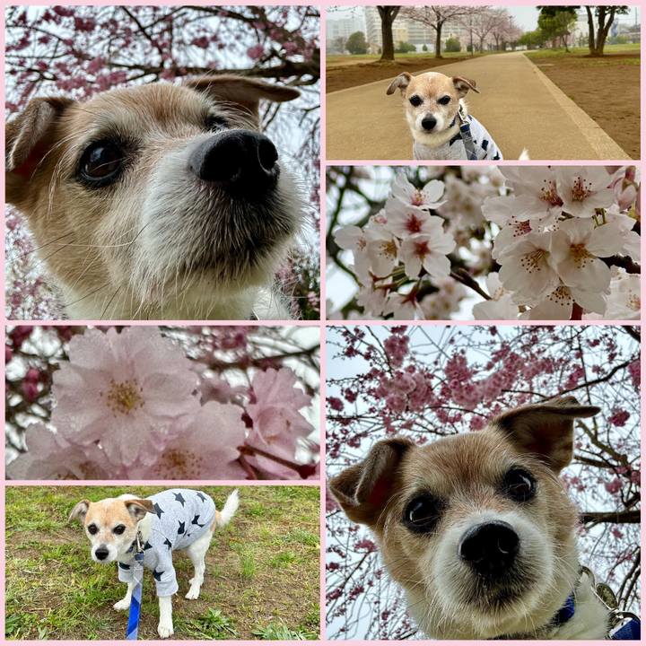 E0ab19c7 8f42 422e b968 1e1205a5243d 1679527209169