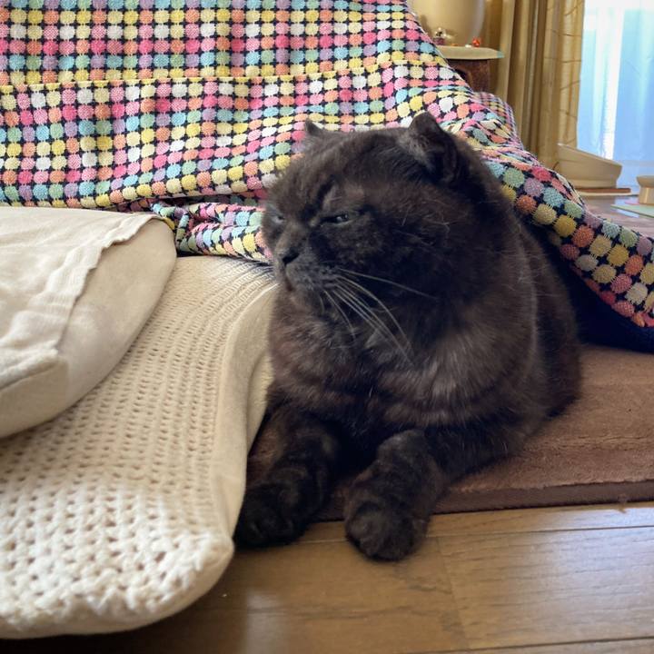 E0ab2360 4f5e 4798 9816 150d0c2a90b7 1612581640184