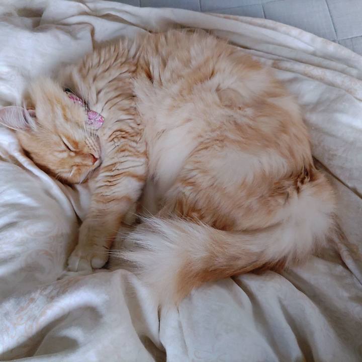 E0ab599f 7392 4ffa be82 5a6ad7e12106 1665967191578