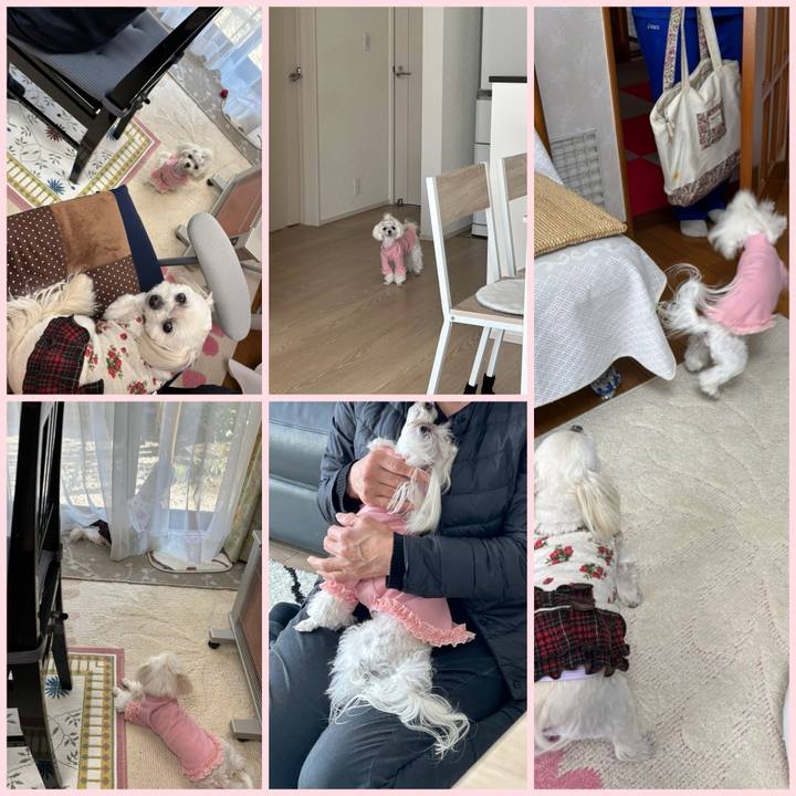 E0ab5c98 752a 4e12 80f6 cfb9497ceb85 1742289502560