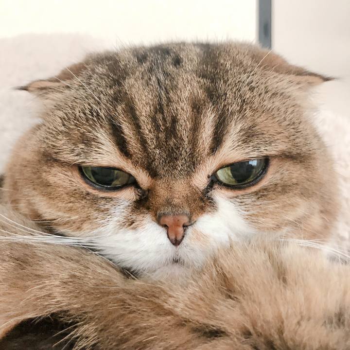 E0ab732e ee38 4340 a9f3 285965208fcc 1583592464950