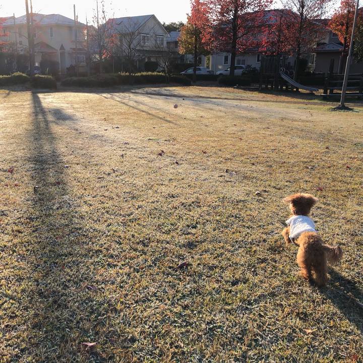 E0ab85d3 7194 4f3d 806f 41e9b7949009 1605139411090