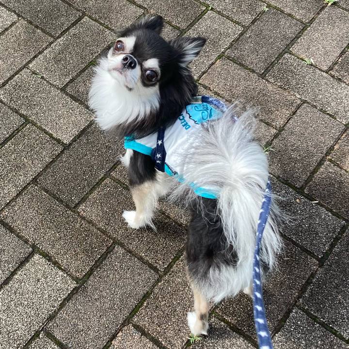 E0abcb07 cb68 45ac bf4d 6832083eb0da 1655041200665