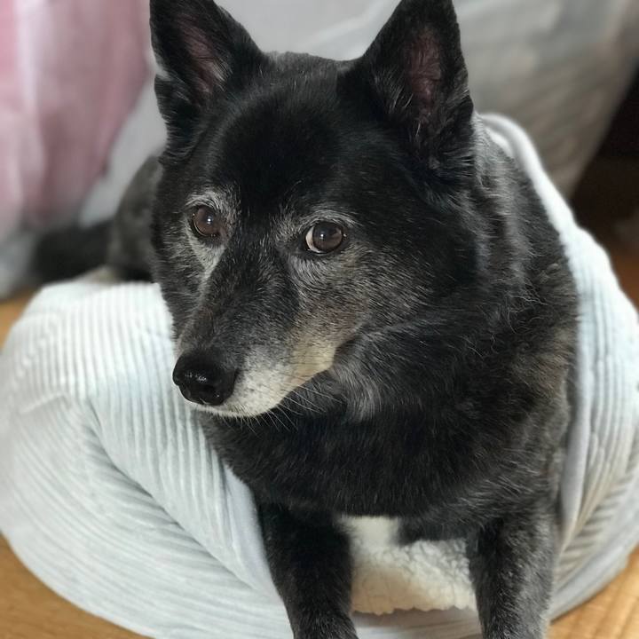 E0abd379 7e8b 4d67 9219 94e4ba5f23a5 1580566836393