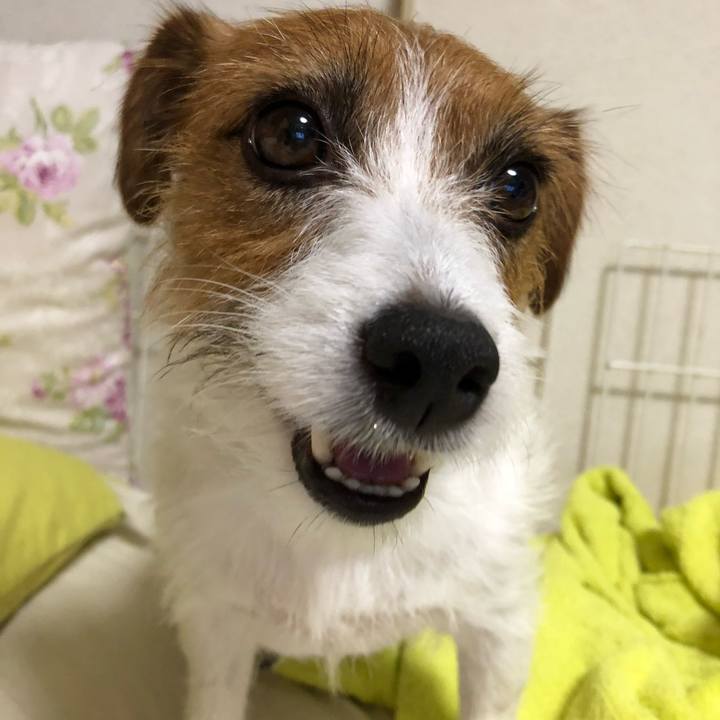 E0ac1524 565e 4122 87fd 1bbd3f5f0a64 1538311486153