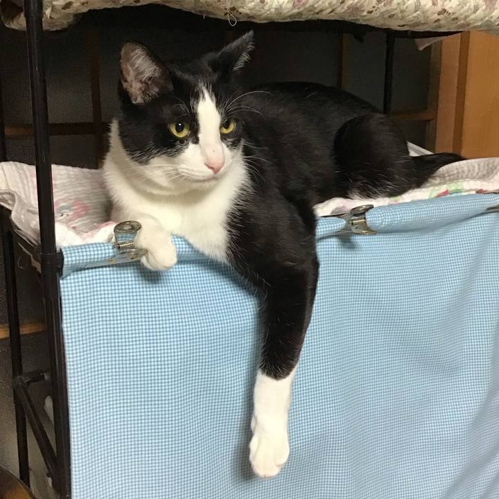 E0ac4734 5f66 4e8a ab85 a50f378dab8f 1685276878255