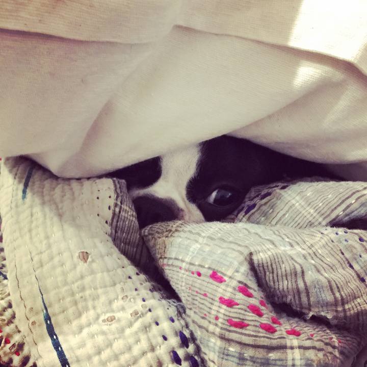 E0aca3c8 e2ef 4542 84d3 57bea6086f90 1543381944143