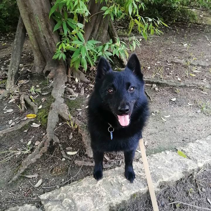 E0aca65f 3ada 4160 a5cd 64923a35d214 1630793645027