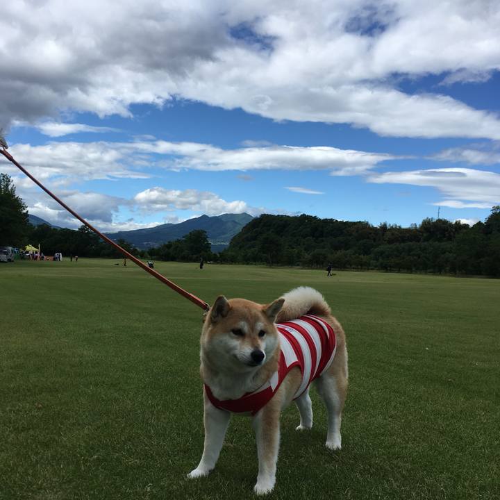 E0acb9dd 3ea6 49a4 a6dd 29d26ca15c5d 1559977459468