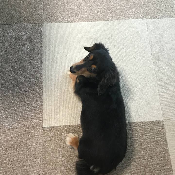 E0acd8d7 772a 458a 9d74 dc038b67c715 1536270381754