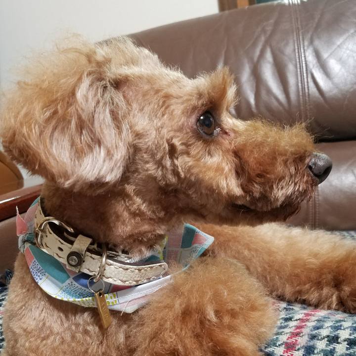 E0ad1f37 f120 4459 b795 e1f92754cc26 1541293731336