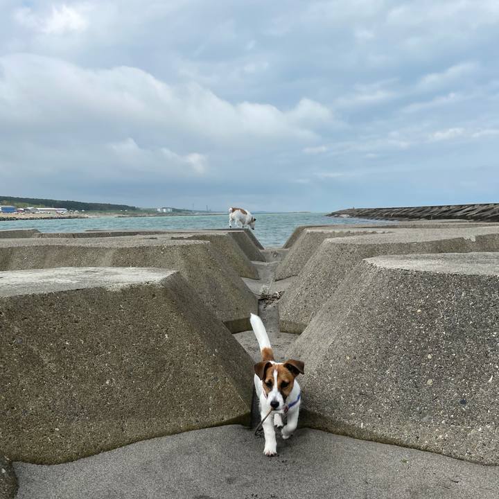 E0ad2680 137a 4214 93f1 e2fae1f43df3 1621900567687