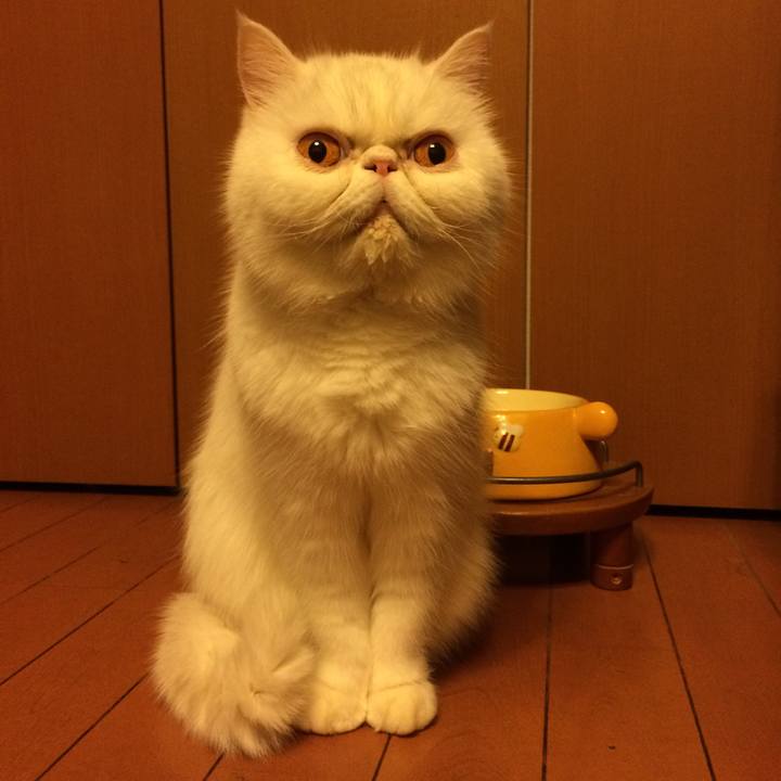 E0ad346a 6a07 49d5 af47 211222cc4b7c 1527948197250