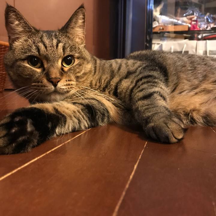 E0ad4fef 5ffb 4bd3 9102 59892b0c5473 1508011442276