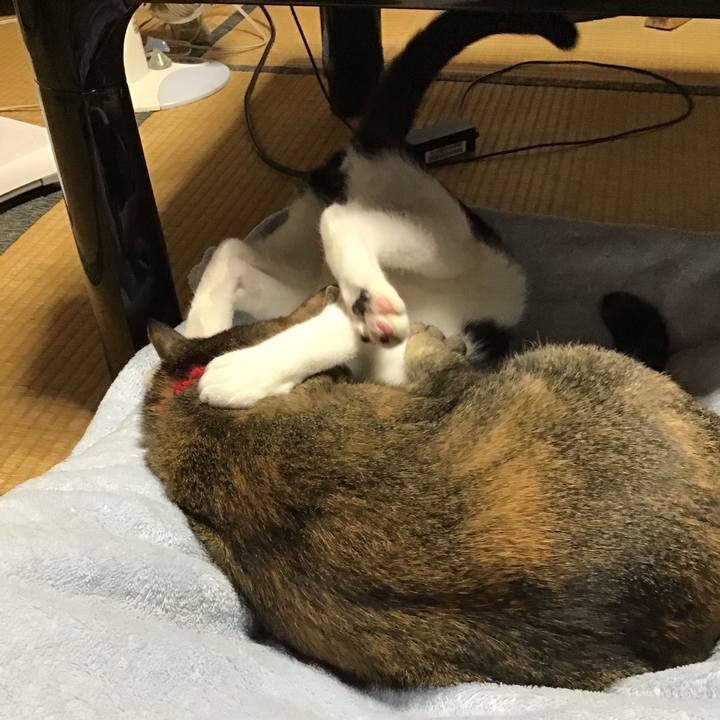 E0ad7d50 ecc0 43d1 b8a5 77bdd143931c 1631147898852