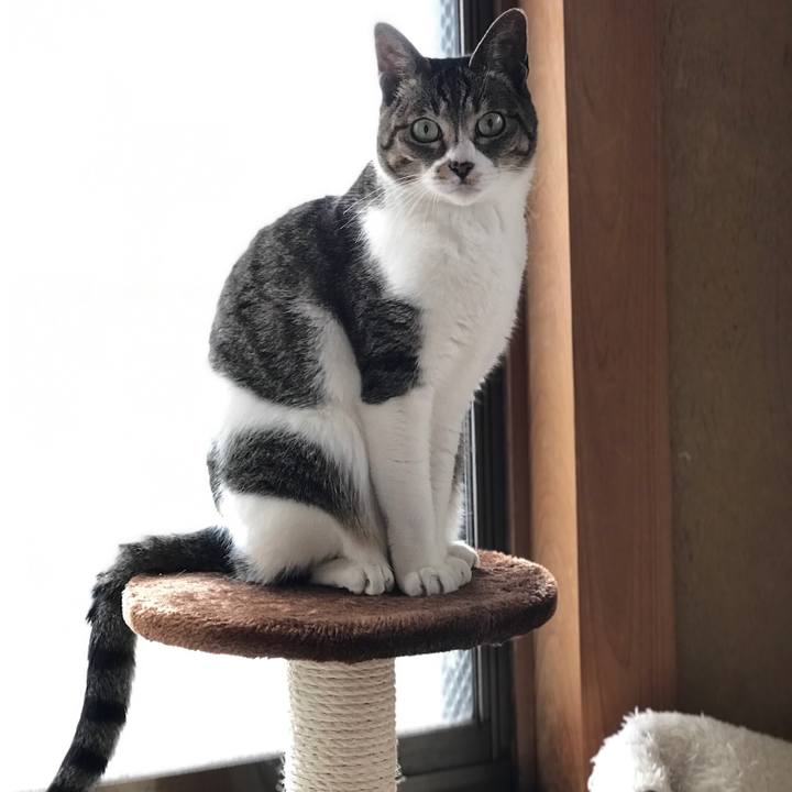 E0ad8583 97a9 4011 96d6 22bbf74cd6b5 1526002155051