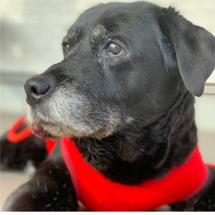 E0ad99a9 3ba2 4851 8c6f 6d6d357dd2a0 1654858895923