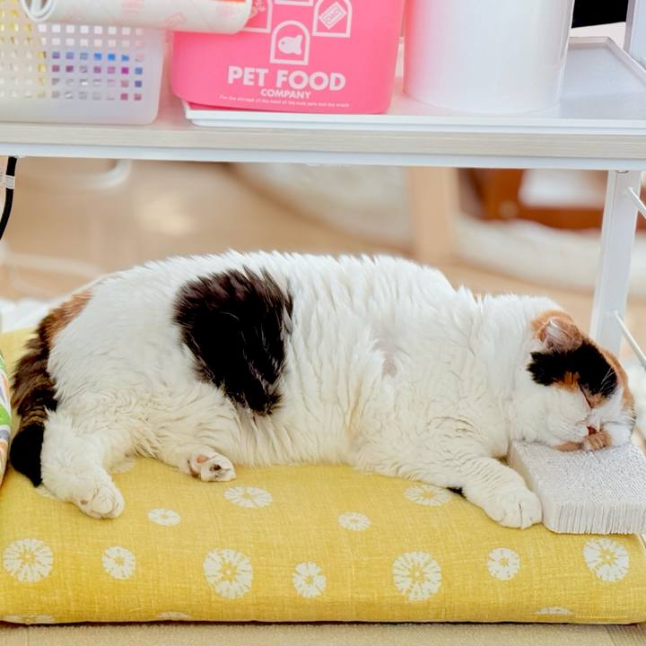 E0ada61d 9ce7 42e2 a874 348d2ebb0bf0 1740095710762