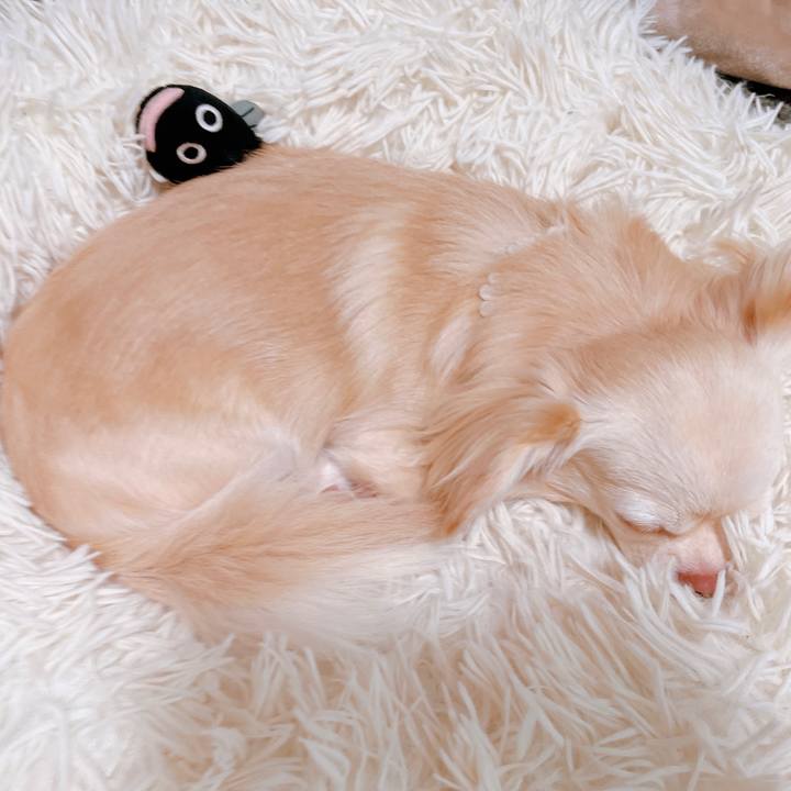 E0ada7eb 3555 4889 977e 1d422de7b1b6 1657006572962