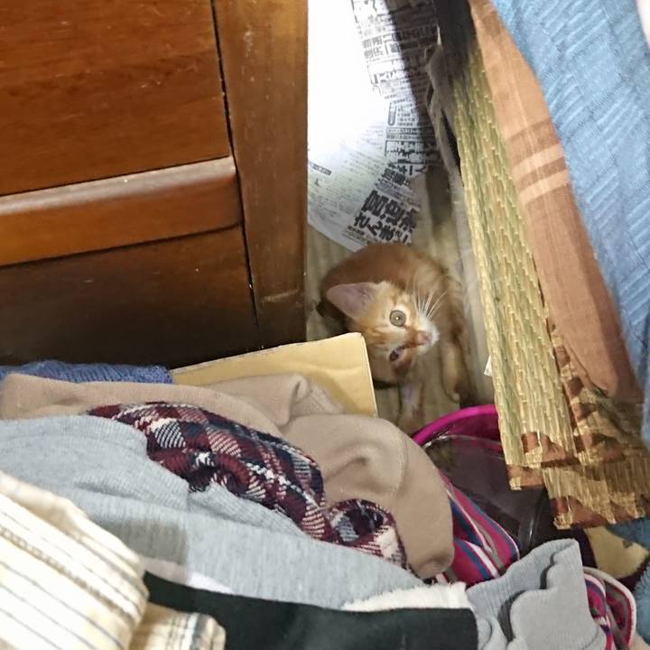 E0adbc7c 3329 4fc4 8edf 4c82927eb05f 1627983336437