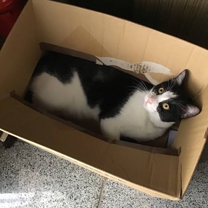 E0add197 0fea 4320 af10 a0385854ef8c 1655716007042