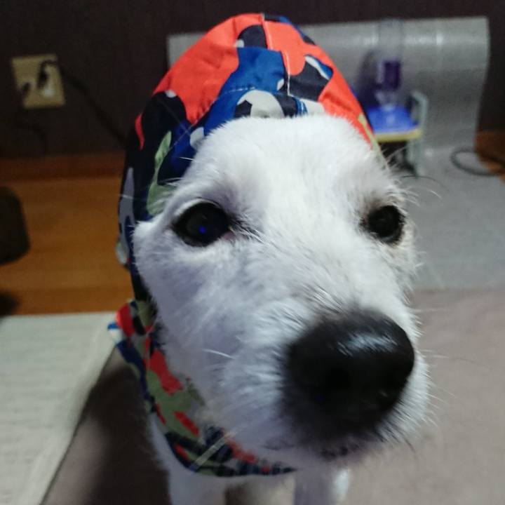 E0adfb00 ad4e 497f 853b ca505f7eccad 1619650624782