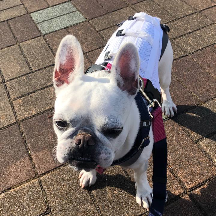 E0ae049a d26a 4c39 8478 36e87b3a0f0a 1607773554477