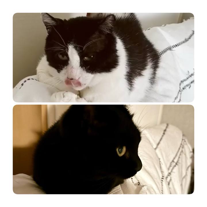 E0ae3ed1 a247 4240 a4cb 10ca996e1fe7 1763884245784