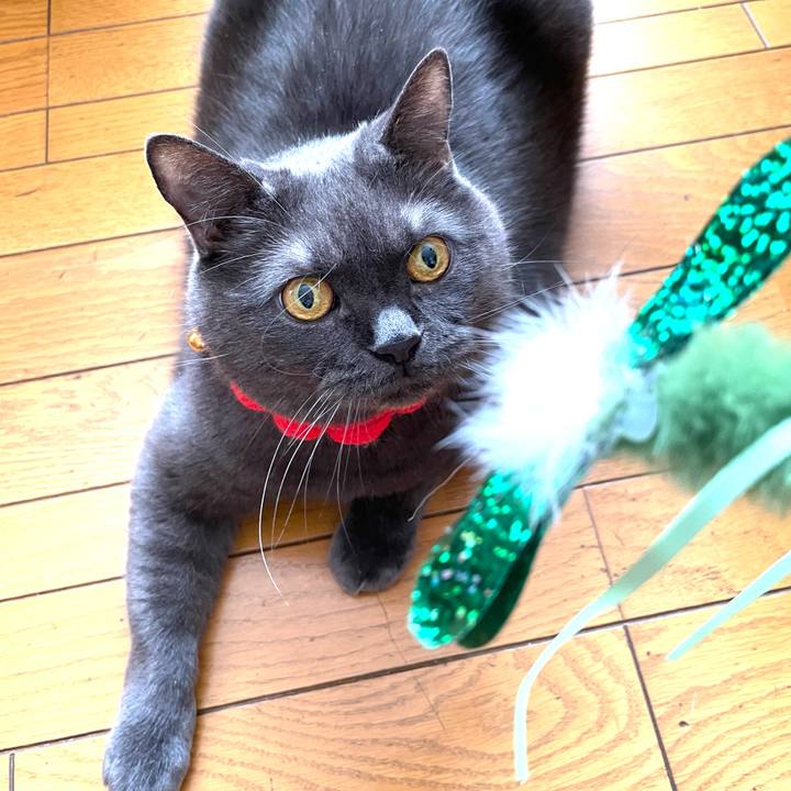 E0ae3f29 88f3 4260 8c72 c61d6f0fe963 1763505707285