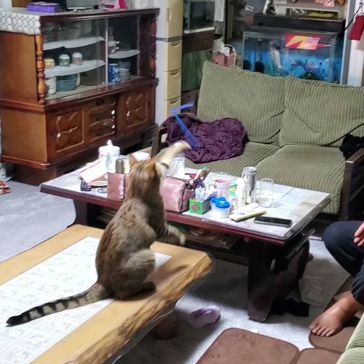 E0ae4ad2 53e8 4706 9e68 46ba1acb7b51 1704638406177