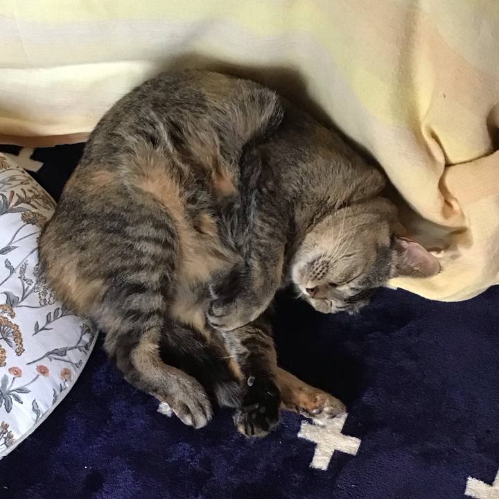 E0ae548c 6137 418e be50 193bb8838fb8 1706606526717