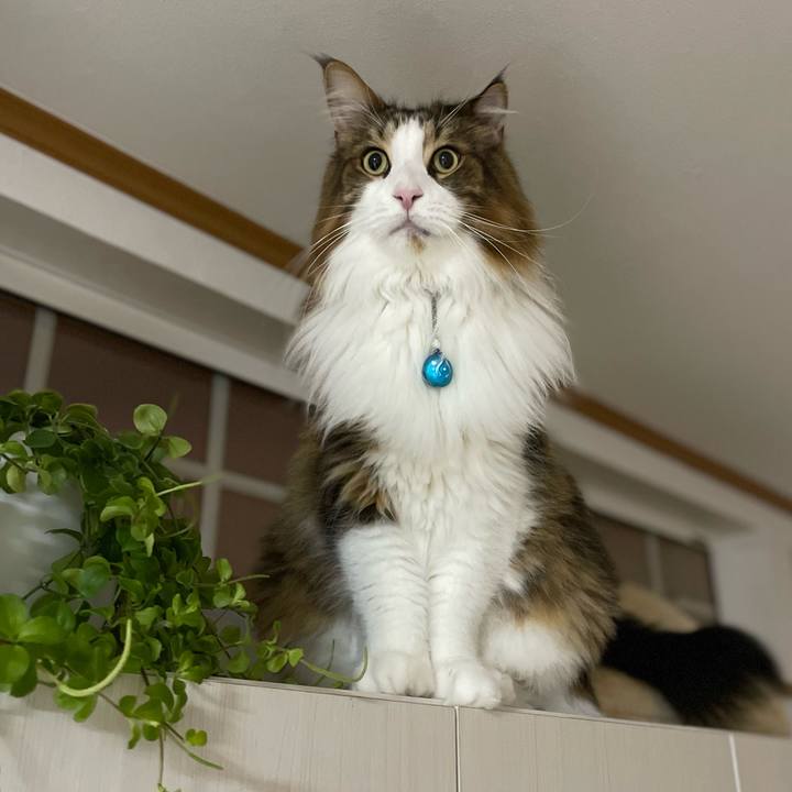 E0ae66d9 ec8a 46f6 8621 d9ecac920c5a 1732134707120