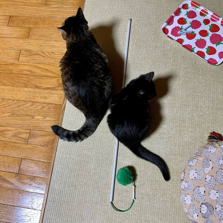 E0ae7360 5097 46b6 8a7e c697ec55c9bd 1643371548791