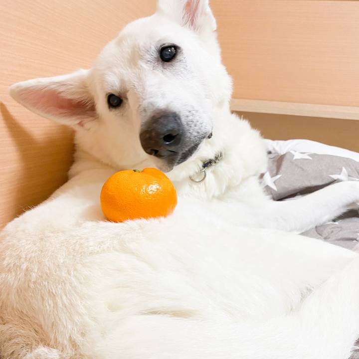 E0ae7b7c fcaa 4332 94e7 47c12e1efad8 1643975865037