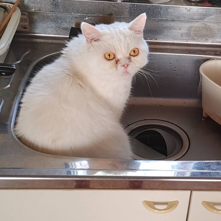 E0ae7bf6 d23e 4f52 9b72 eed70b77c37a 1635549877724