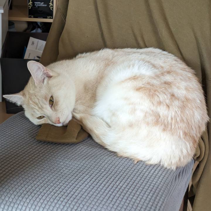 E0ae8b88 943d 460f b587 0d0928bf25e6 1685331657777