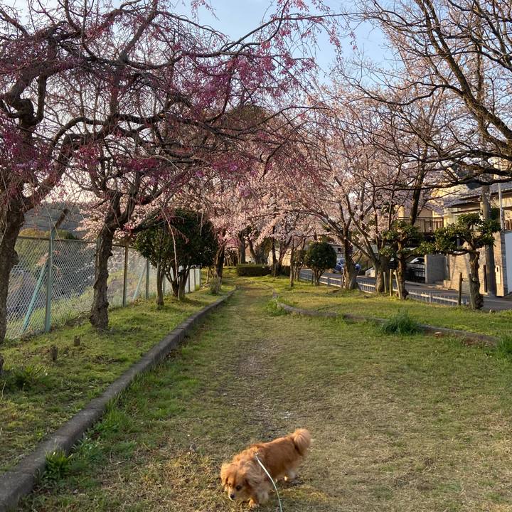 E0ae984d ff24 45fb 9af7 30b3721633fb 1585864940689