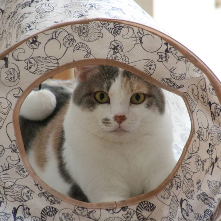 E0aec8fa 7b5e 4ddb 9a57 099850ae8a5b 1537489940147