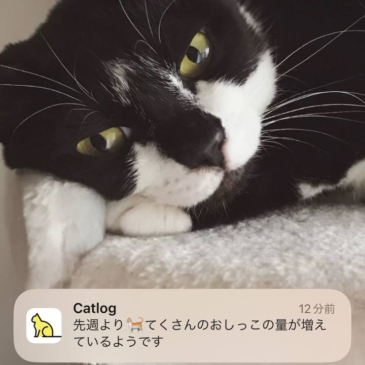 E0aee45a ab74 4e43 ab96 8a75c231ae9f 1697844886864