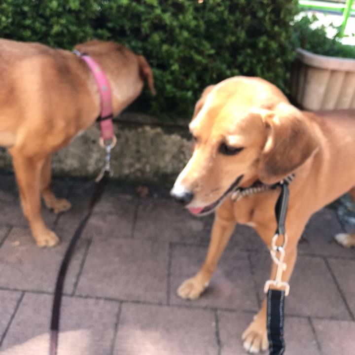 E0af23ad cb5c 4a7f 89bb fea44ce39193 1534558825027