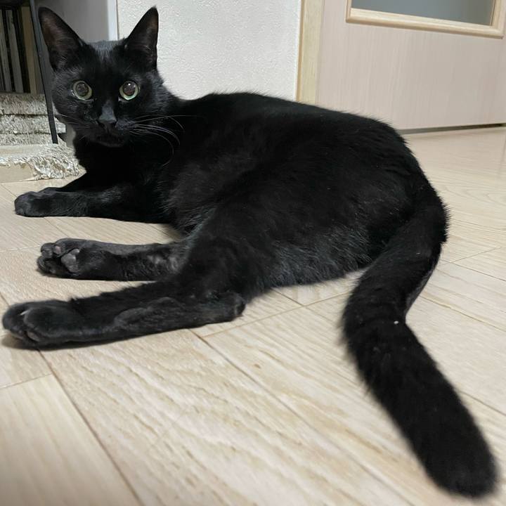 E0afbdc2 8b16 4979 9bd3 35b37f9ad04b 1745241208421