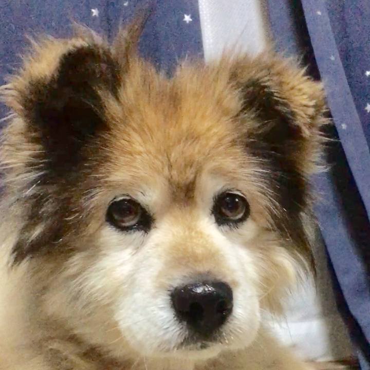 E0afc441 b50b 4a83 8d70 e924948f0357 1590817998751