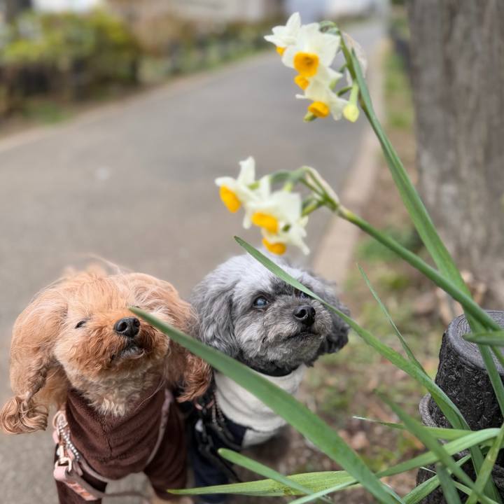 E0afd235 fe2c 4c0c a551 a9724362db04 1769728179870