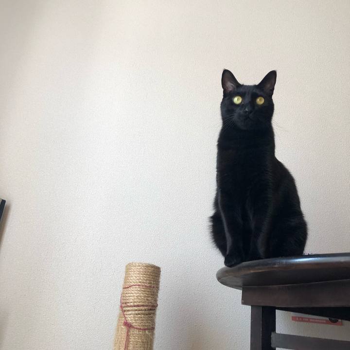 E0afda4d 8374 4142 a1bb eed87fa06eaf 1554620066611