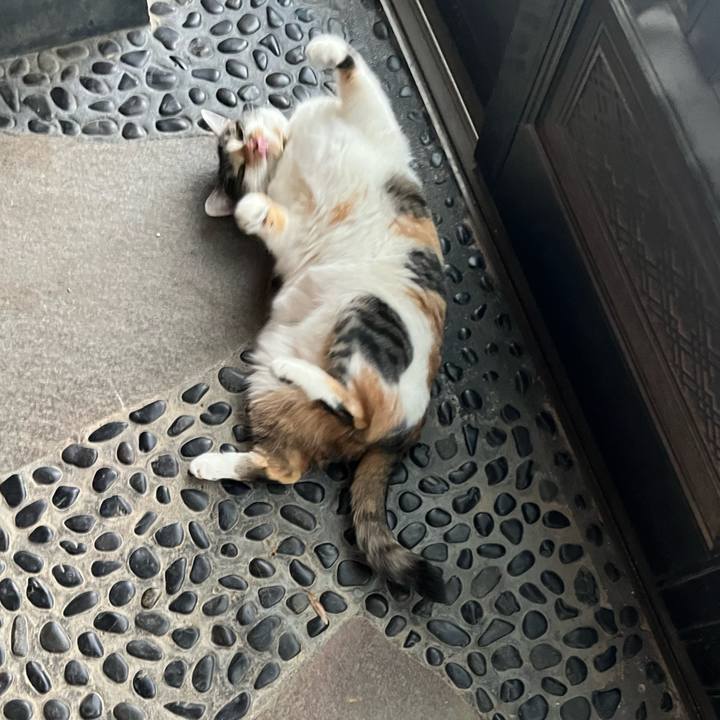 E0afdca9 e49e 4355 8523 abdf83c11c6f 1773386900281