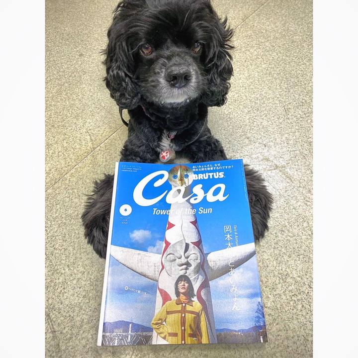 E0b009b0 d828 4a0c 80db b7f5590030db 1621954700194