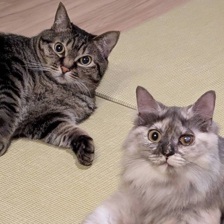 E0b0764b 3b03 4c4b 8502 4564030c4ffc 1747228435791